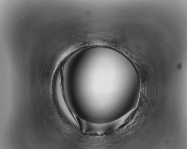 X0000098180248200805011042