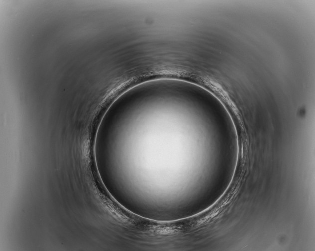 X0000098180249200805011042