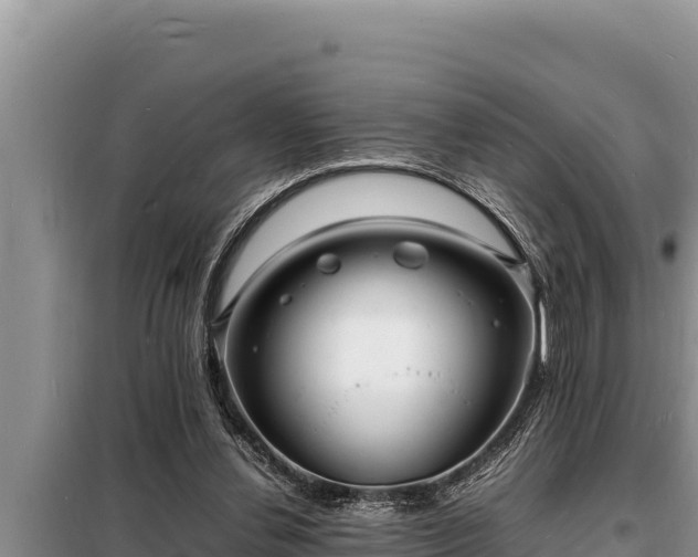 X0000098180252200805011043