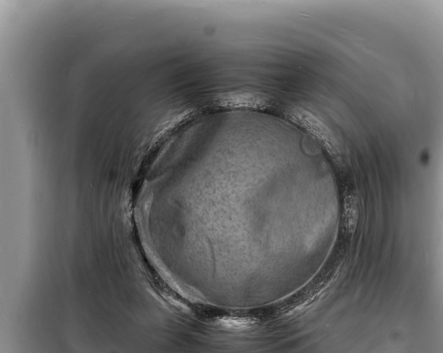 X0000098180255200805011043