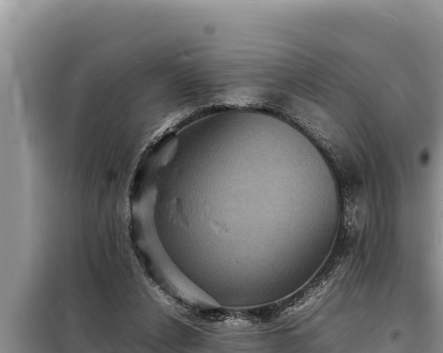 X0000098180256200805011043