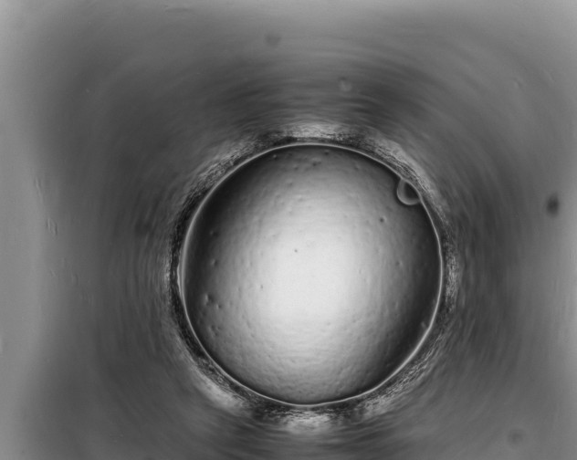 X0000098180257200805011043