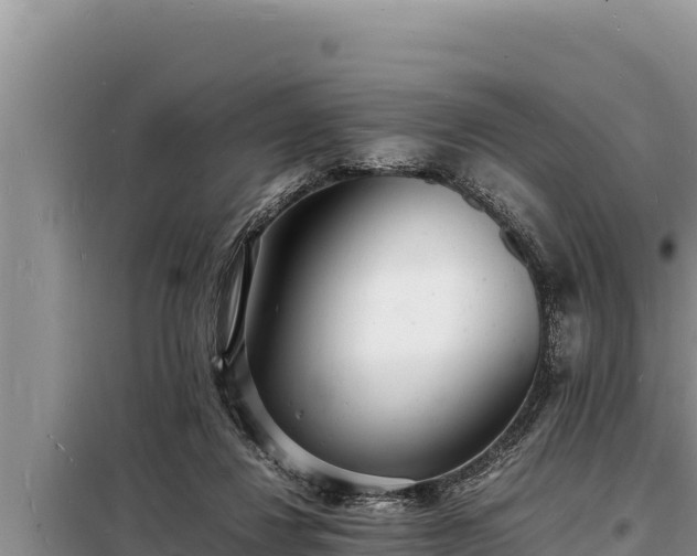 X0000098180260200805011043