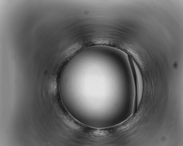 X0000098180261200805011043