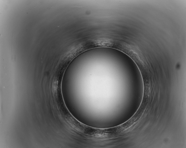 X0000098180263200805011043