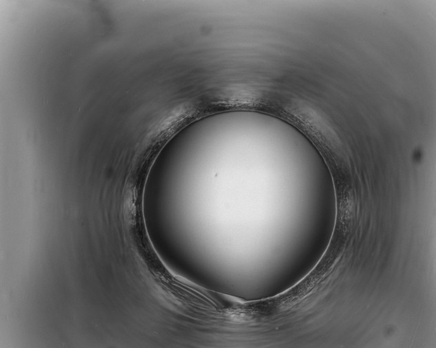 X0000098180264200805011043