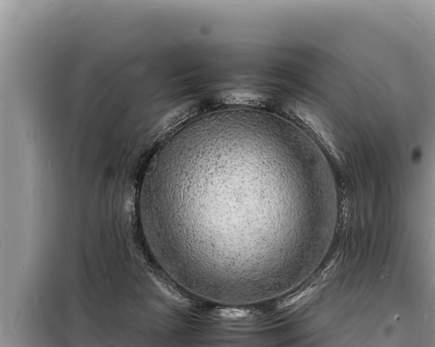 X0000098180265200805011043