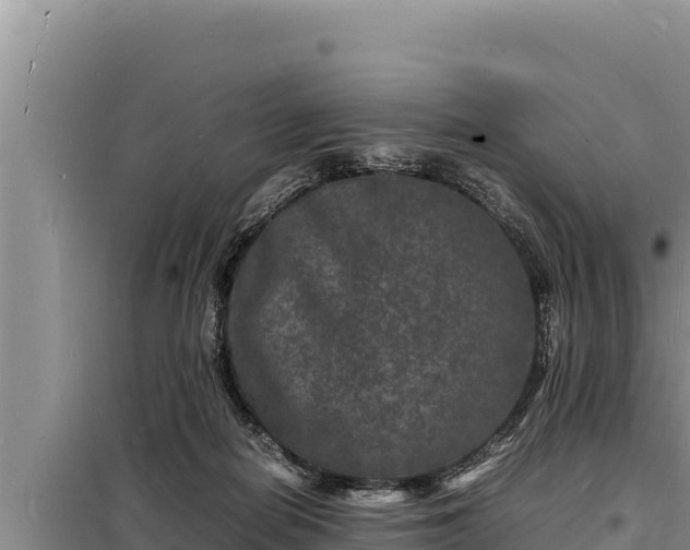 X0000098180266200805011043