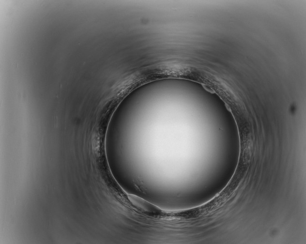 X0000098180268200805011043