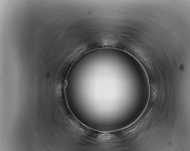 X0000098180269200805011043