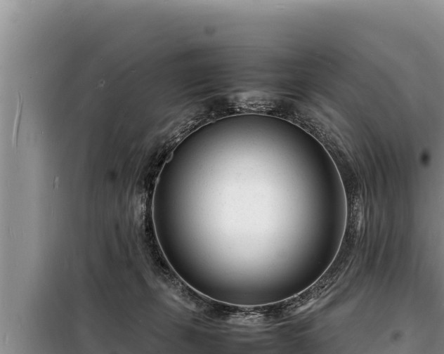 X0000098180271200805011043