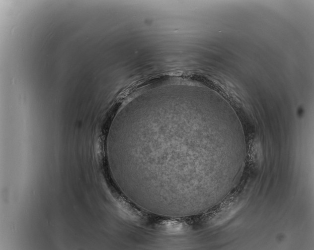 X0000098180272200805011043