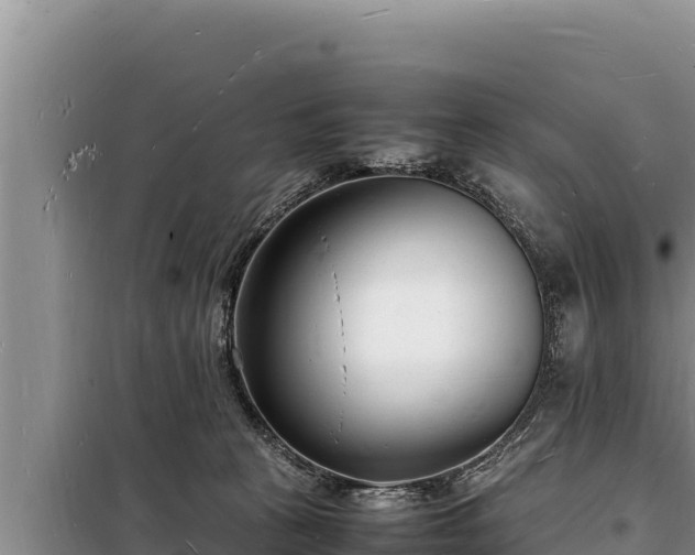 X0000098180273200805011043