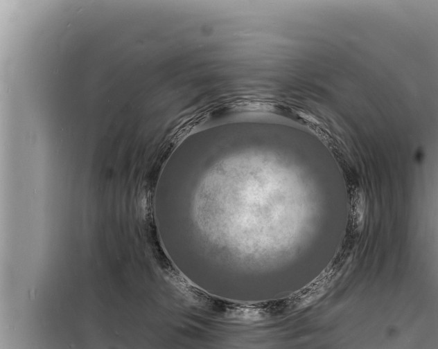 X0000098180276200805011043