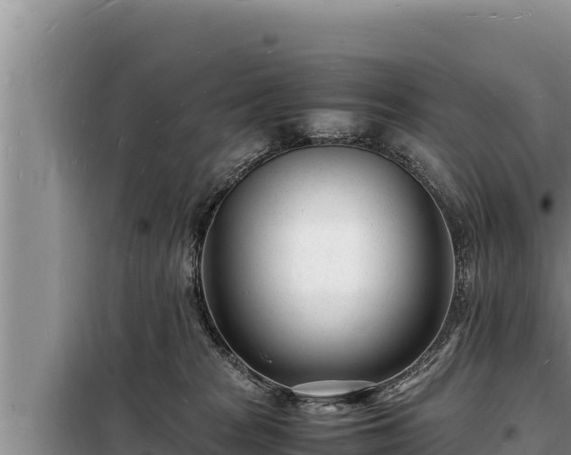 X0000098180277200805011043