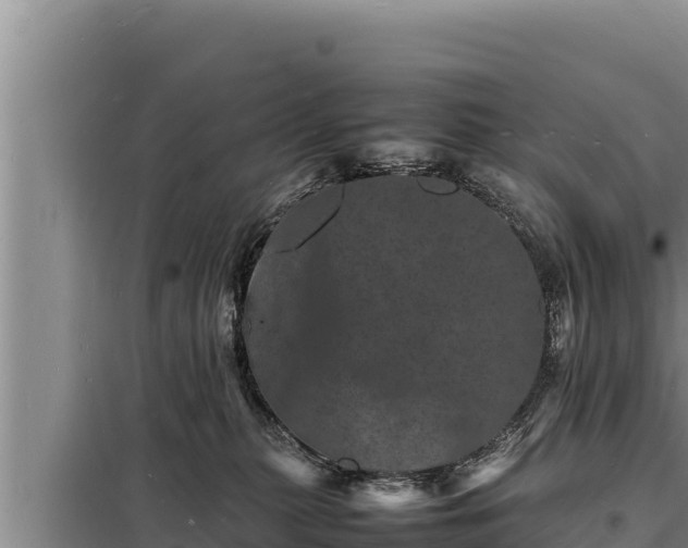 X0000098180279200805011043