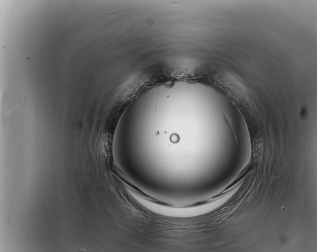 X0000098180280200805011043