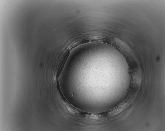 X0000098180282200805011043