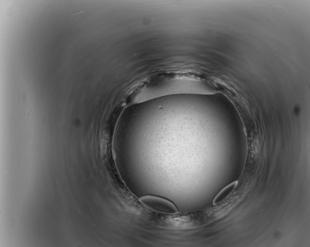 X0000098180283200805011043