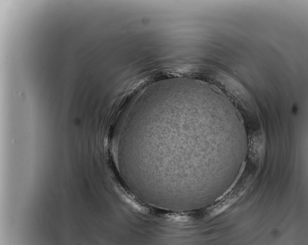 X0000098180284200805011043