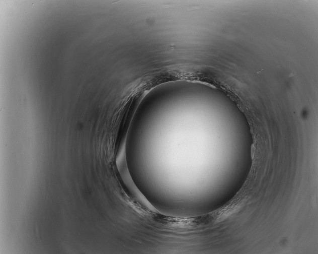 X0000098180288200805011043