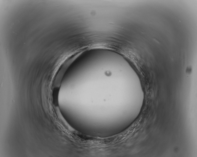 X0000098180289200805011042