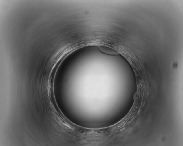 X0000098180290200805011042