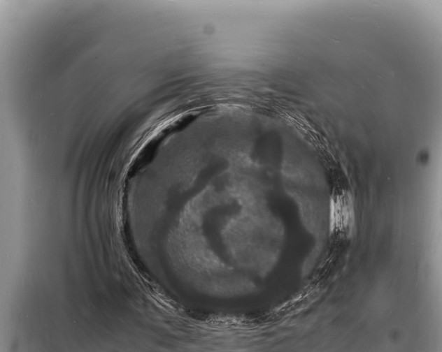 X0000098180291200805011042