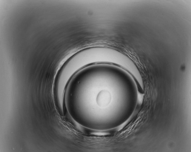 X0000098180292200805011042