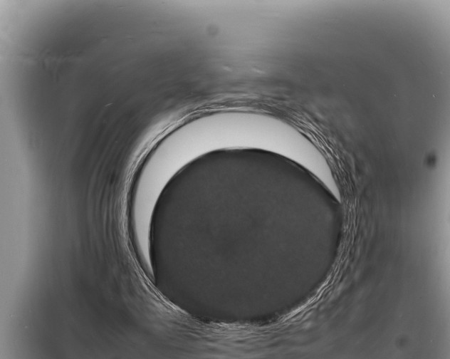 X0000098180293200805011042