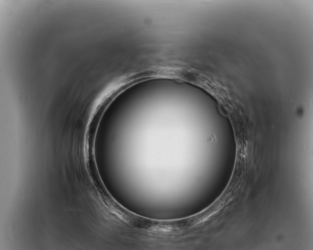 X0000098180294200805011042