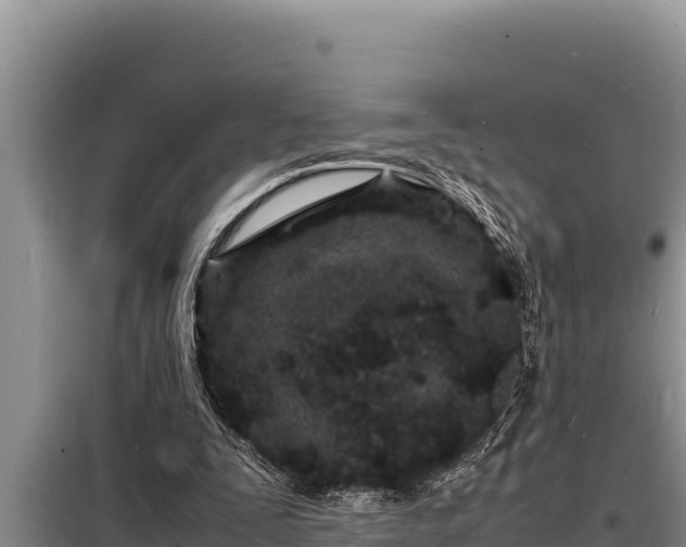 X0000098180295200805011042