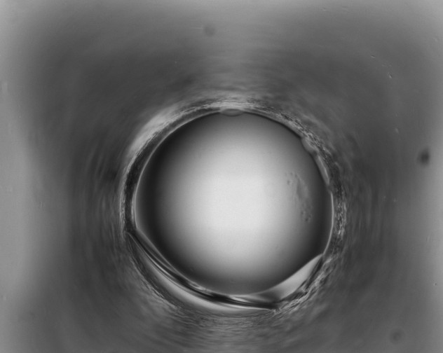 X0000098180296200805011042