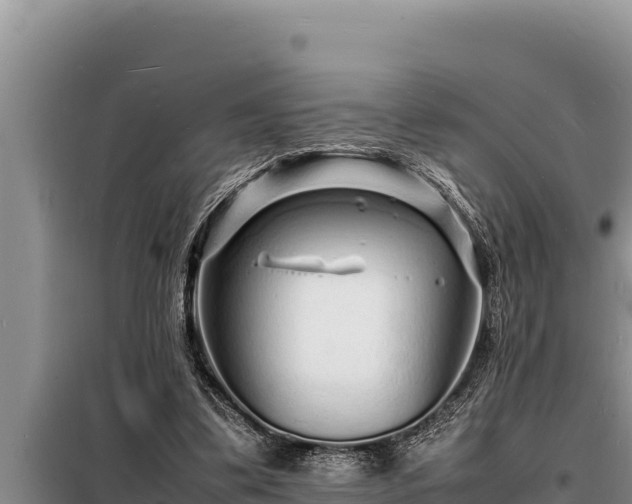 X0000098180299200805011042