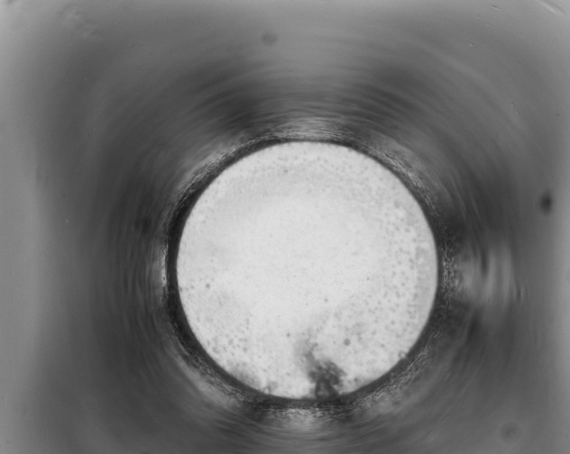 X0000098180302200805011042