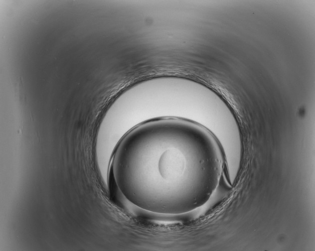 X0000098180305200805011042