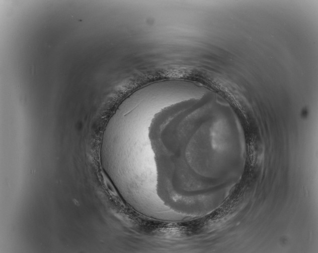 X0000098180307200805011042