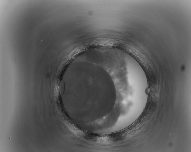 X0000098180309200805011042