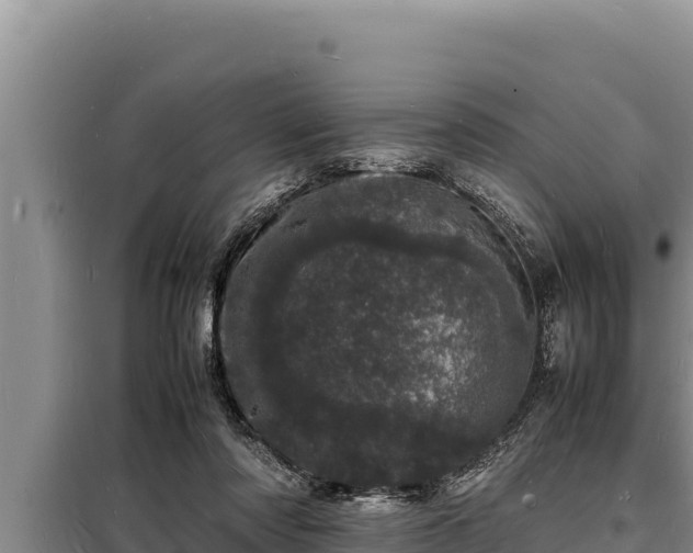 X0000098180310200805011042