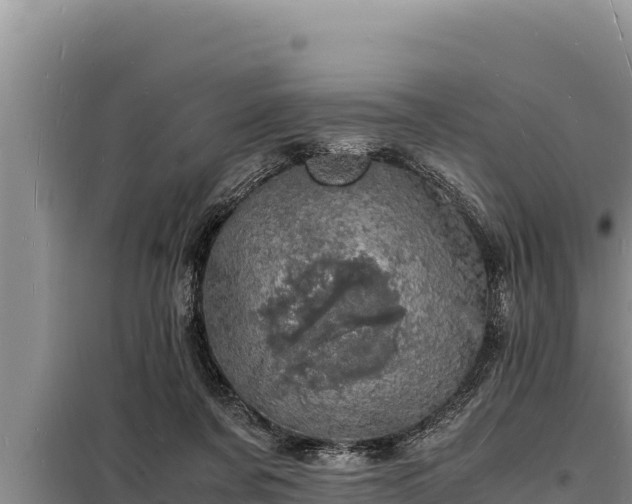 X0000098180311200805011042