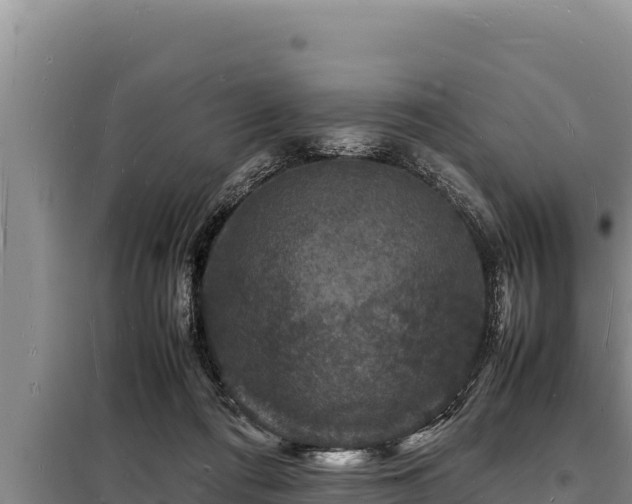 X0000098180312200805011042