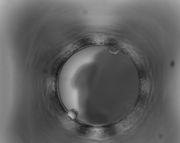 X0000098180313200805011042