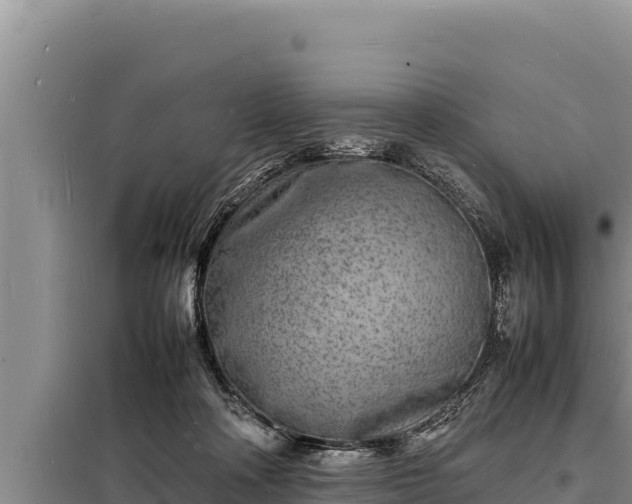 X0000098180314200805011042