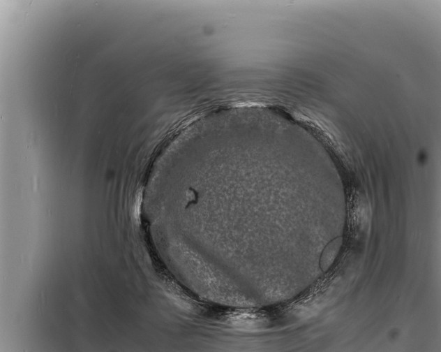 X0000098180315200805011042