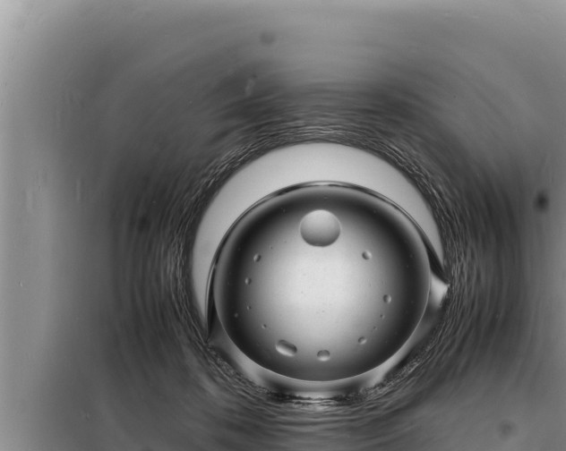 X0000098180316200805011042