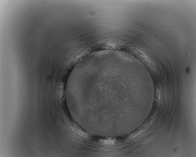 X0000098180318200805011042