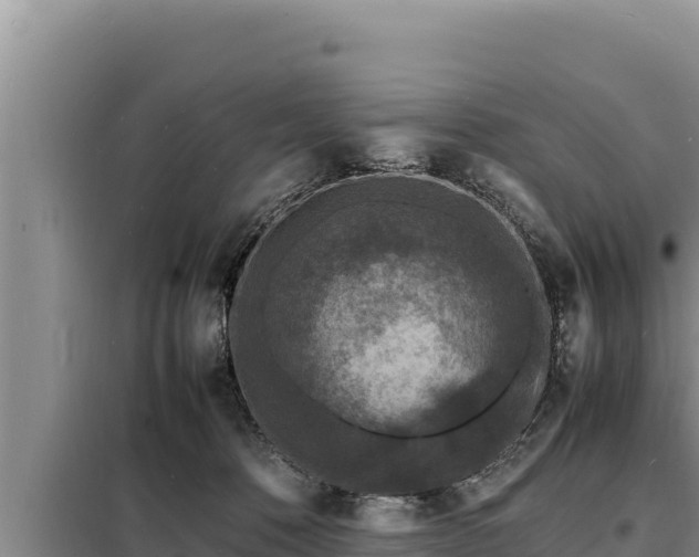 X0000098180320200805011042