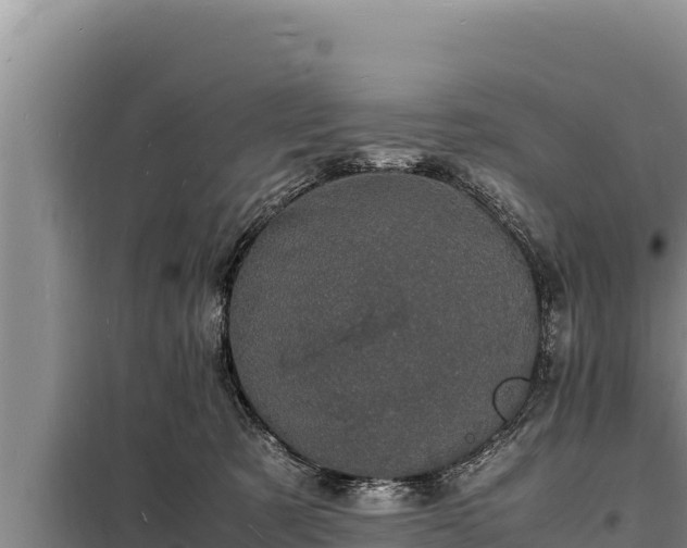 X0000098180321200805011042