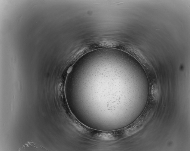 X0000098180322200805011042