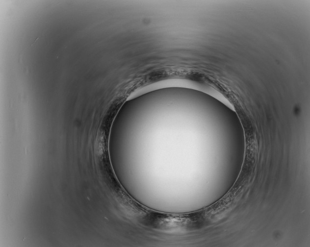 X0000098180323200805011042